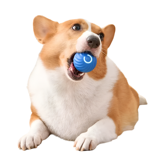 Pawzooka - Rechargeable Jump Ball